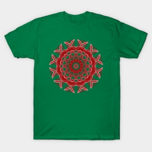 Root Chakra Mandala T-Shirt